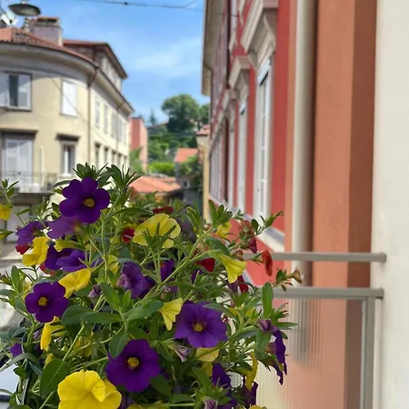 Lejlighed Casa Tami, Centro
